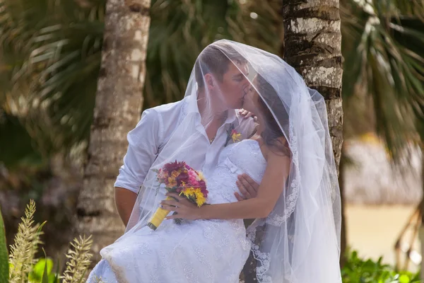 Novia y novio en el fondo de palmeras — Foto de Stock