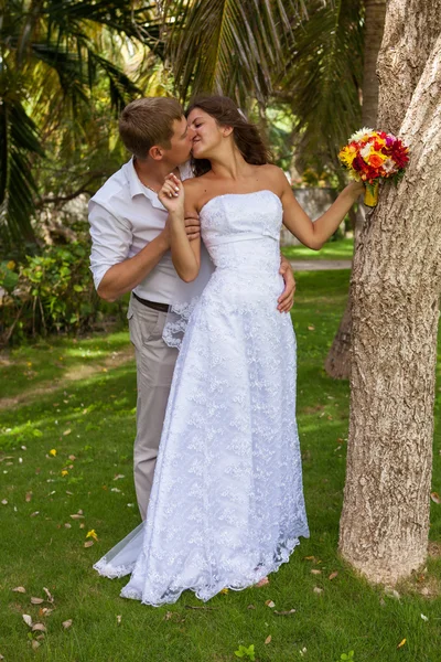 Novia y novio en el fondo de palmeras — Foto de Stock