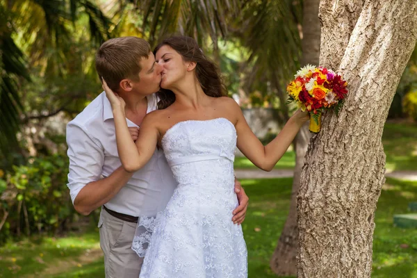 Novia y novio en el fondo de palmeras —  Fotos de Stock