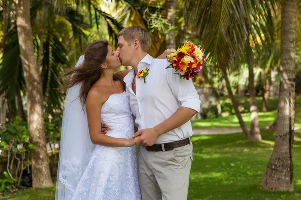 新娘和新郎在棕榈树的背景 — 图库照片