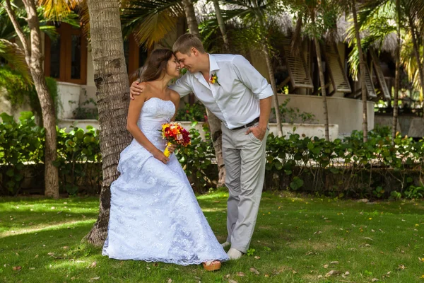 Novia y novio en el fondo de palmeras — Foto de Stock