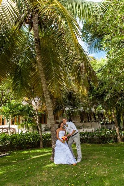 Bride and groom on the background of palm trees — Stock Photo, Image