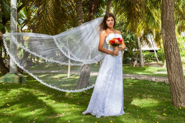 Sposa sullo sfondo di palme — Foto Stock