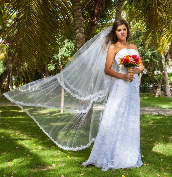 Sposa sullo sfondo di palme — Foto Stock