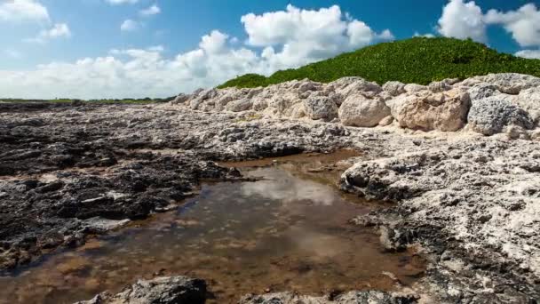 Reef shore zataženo timelapse s jezerem — Stock video