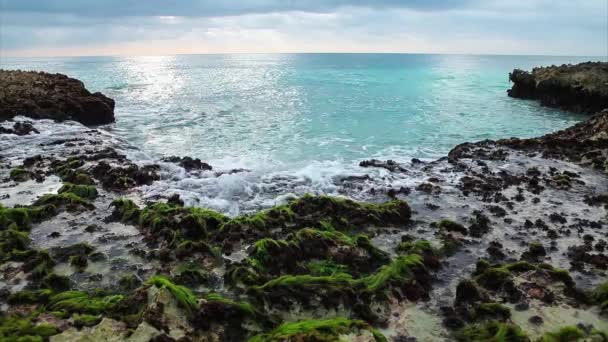 Plongée des vagues océaniques sur le récif — Video