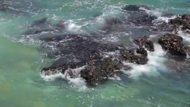 Ocean wave splash op het rif — Stockvideo