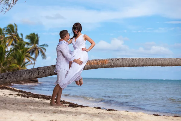 Young loving couple. Girl sitting on the palm tree — Stock Photo, Image