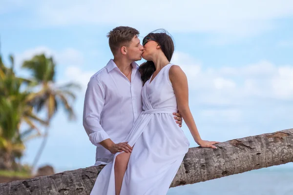 Jonge verliefde paar. meisje, zittend op de palmboom — Stockfoto