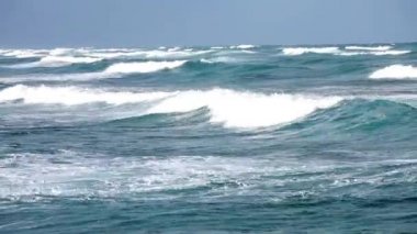 Okyanus dalgaları kıyıya yakın video