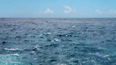 Okyanus dalgaları kıyıya yakın video
