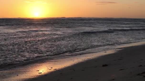 Video av vackra soluppgången över havet — Stockvideo