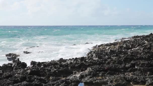Oceano onda spruzzare sul video barriera corallina — Video Stock