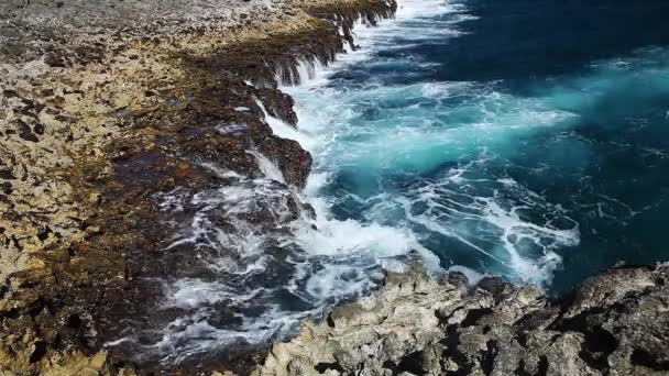 Salpicadura de ola oceánica en el video del arrecife — Vídeo de stock