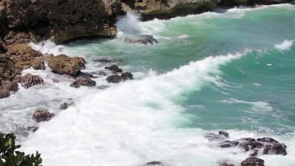 Oceano onda spruzzare sul video barriera corallina — Video Stock