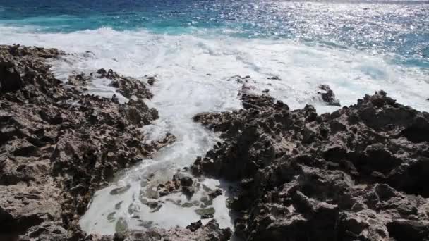 Onde oceaniche che si infrangono sulla costa corallina — Video Stock