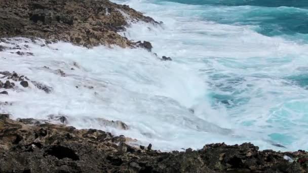 Ocean wave splash on the reef video — Stock Video