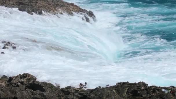 Salpicadura de ola oceánica en el video del arrecife — Vídeo de stock