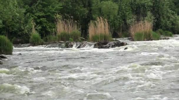 Vidéo de la rivière de montagne puissante et rapide — Video