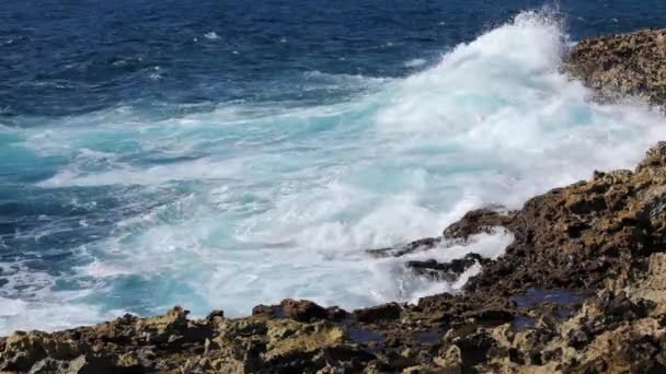 Ocean wave splash on the reef video — Stock Video