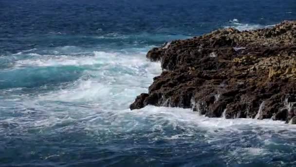 Oceano onda spruzzare sul video barriera corallina — Video Stock