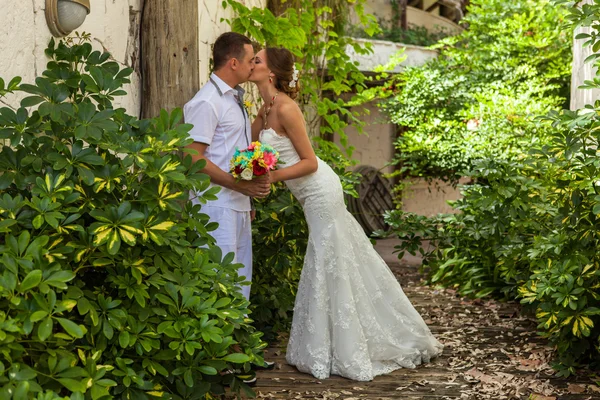 Bride and groom in the garden together — Stock Photo, Image