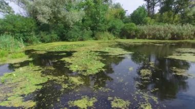 Hava. Nehir ve ağaçlar ile manzara.