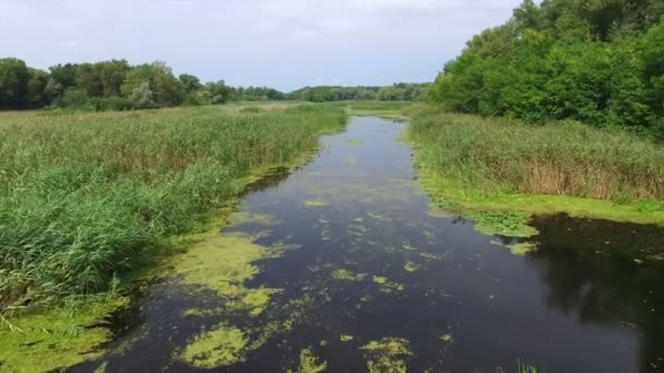 Aérien. Paysage avec rivière et arbres .