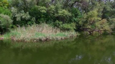 Hava. Nehir ve ağaçlar ile manzara.