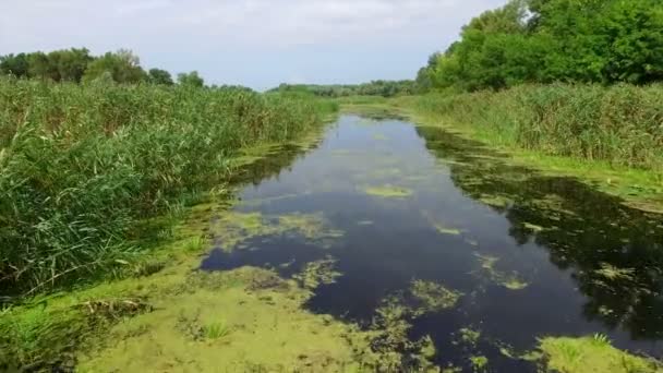 Aérien. Paysage avec rivière et arbres .