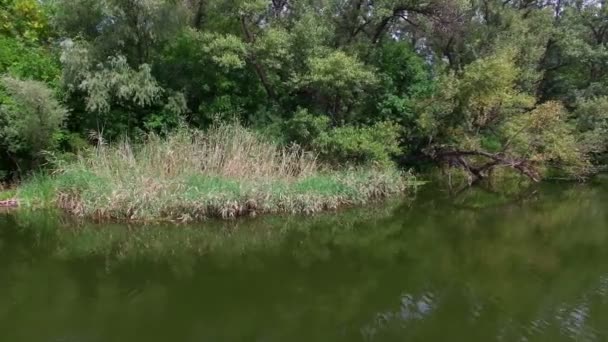 Aérien. Paysage avec rivière et arbres .