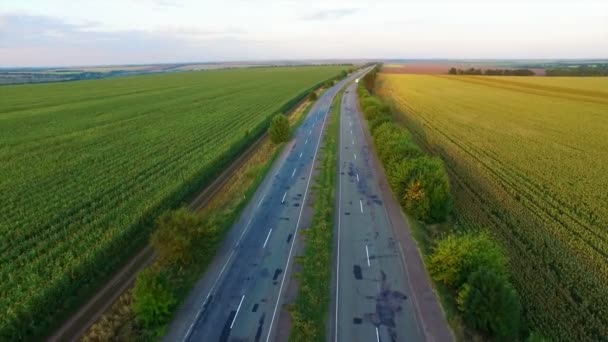 Aero vlucht over de weg tussen velden in zonsondergang — Stockvideo