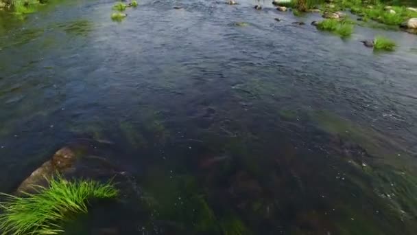 航空写真: 川の急流の上を飛んでください。 — ストック動画