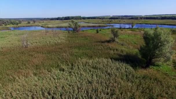 Luchtfoto: vliegen over de rivier — Stockvideo