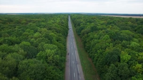 Antenn: flygning över vägen i trä. — Stockvideo