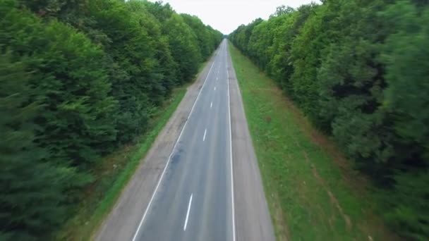 Antenne: Flug über Straße im Wald. — Stockvideo