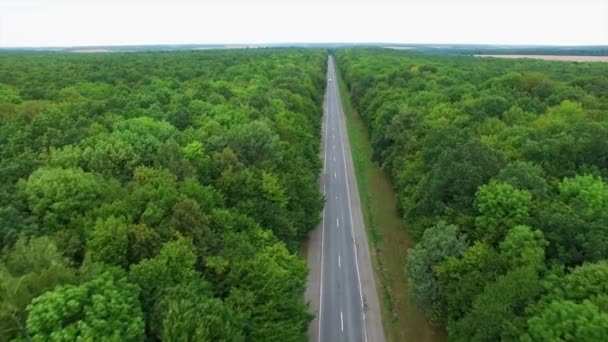 Aérien : survol de la route en bois . — Video