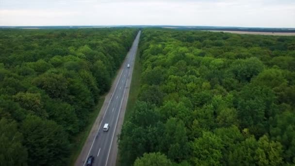 Antenn: flygning över vägen i trä. — Stockvideo