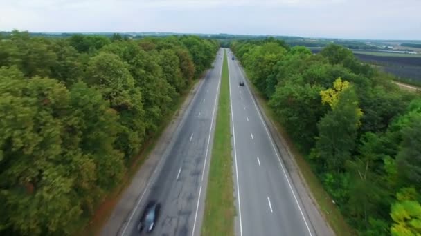 Antenne: Flug über Straße im Wald. — Stockvideo