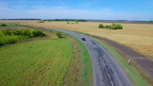 Flug über die Straße zwischen Feldern — Stockvideo