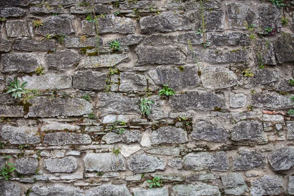 Medeltida mur av stenar Stockfoto