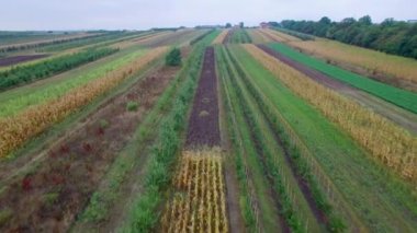 Hava: uçuş yukarıdaki alanları karışık
