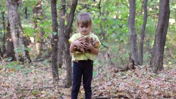 Küçük kız sonbahar yaprakları atar — Stok video
