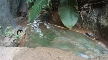 Bahçede akan su akıntısı.