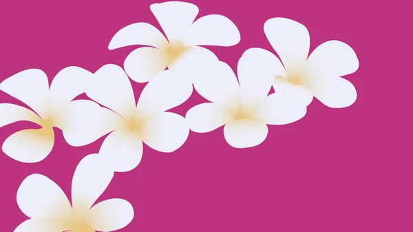 Patrón Sin Costura Floral Plumeria Blanca Flores Aisladas Sobre Fondo — Vector de stock