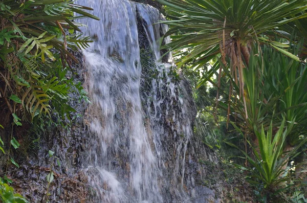 Mały Wodospad Mały Ogród Okolicy Domu — Zdjęcie stockowe
