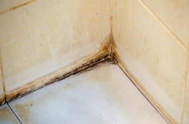 Lekeler banyodaki kiremitlerin eklemlerine işlemiş..