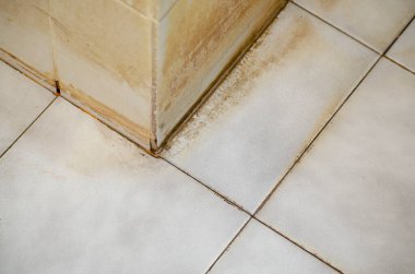 Lekeler banyodaki kiremitlerin eklemlerine işlemiş..