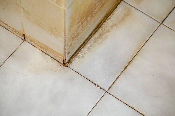 Lekeler banyodaki kiremitlerin eklemlerine işlemiş..