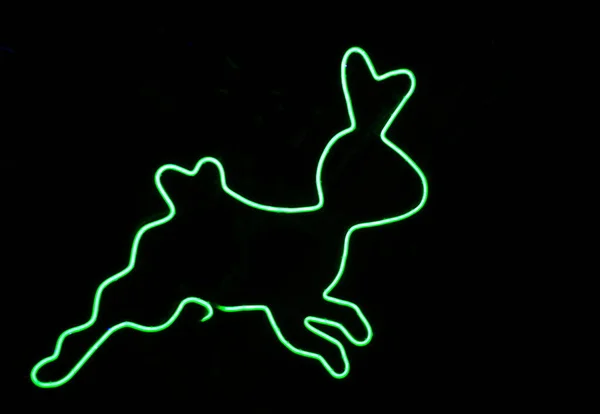 Green Neon Tube Bending Rabbit Shape Decorating Place Black Background — Stock Photo, Image